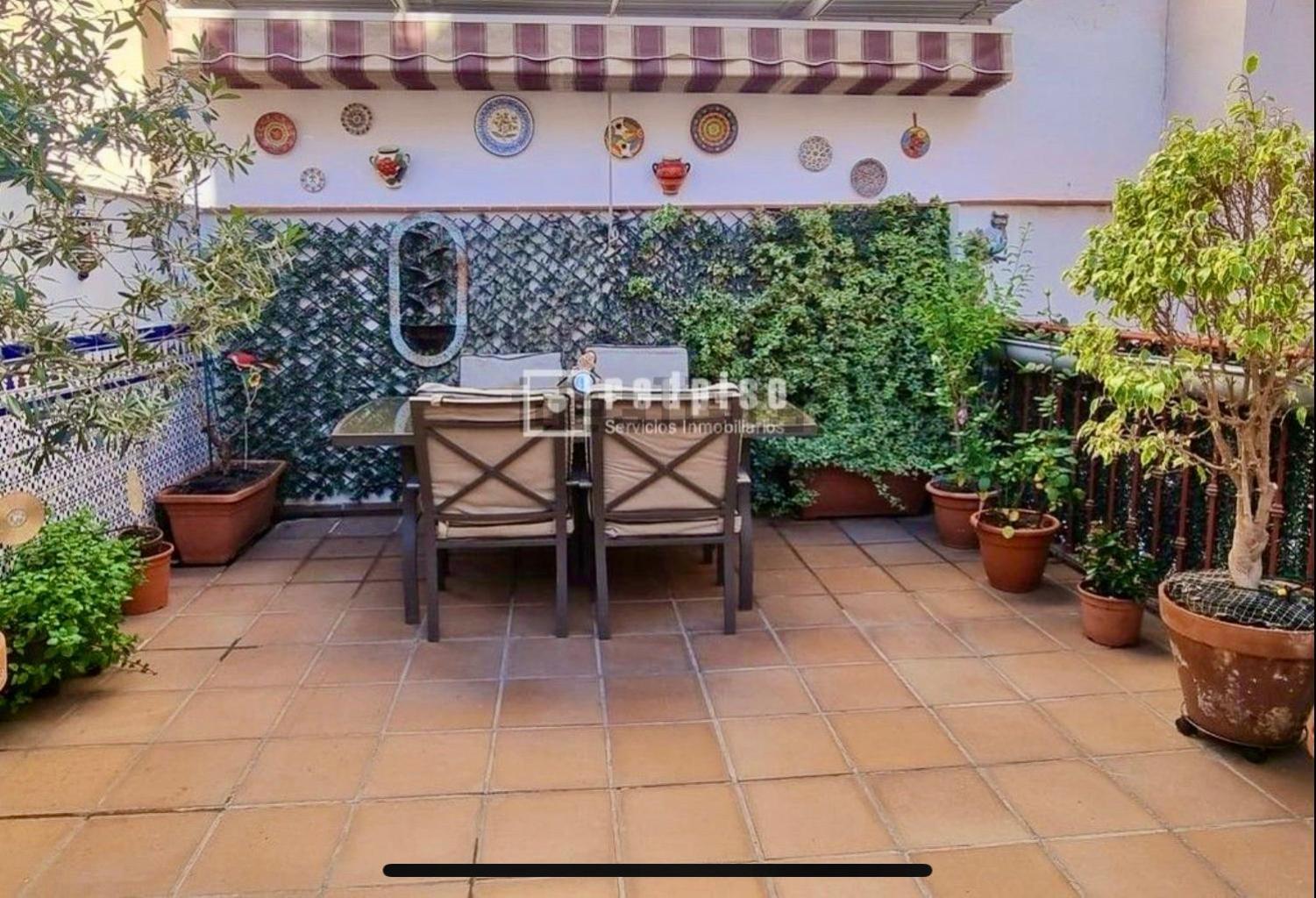 Maravilloso Apartamento Centrico De 70M2, Jardin Propio 40M2 Con Piscina Para Ninos Y Parking Opcional Malaga Luaran gambar